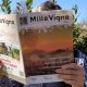 Uomo che legge la rivista dei viticoltori italiani. Foto: Monica Massa per l'intervista di Katrin Walter di simply walter